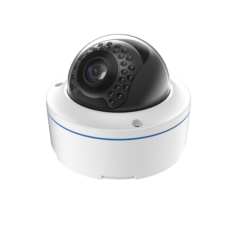 Riot-proof  CCTV  IR  IP dome camera housing 