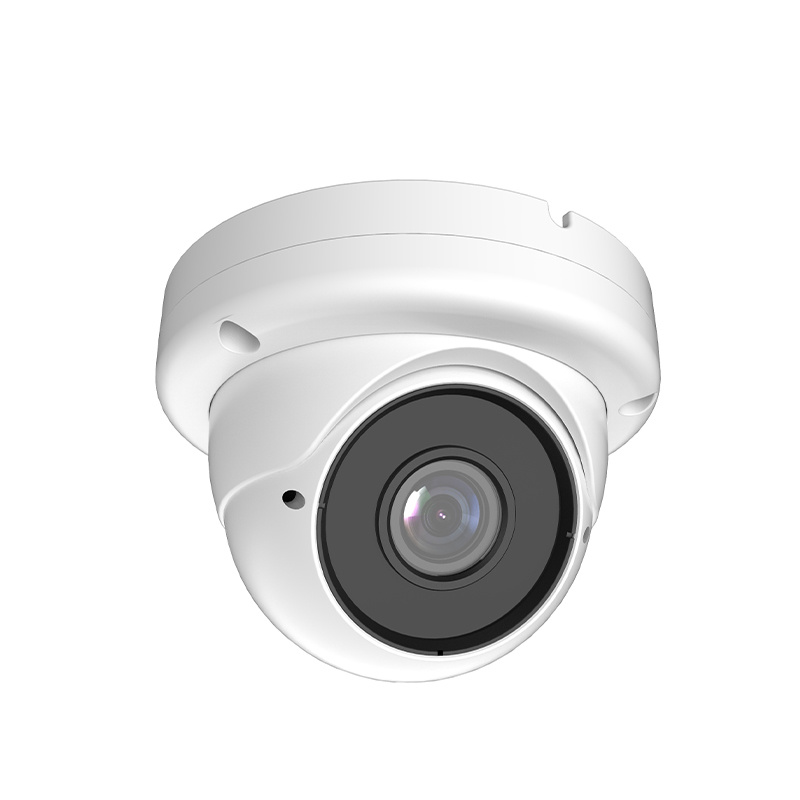 Large aluminum dome camera housing with zoom adjustment 