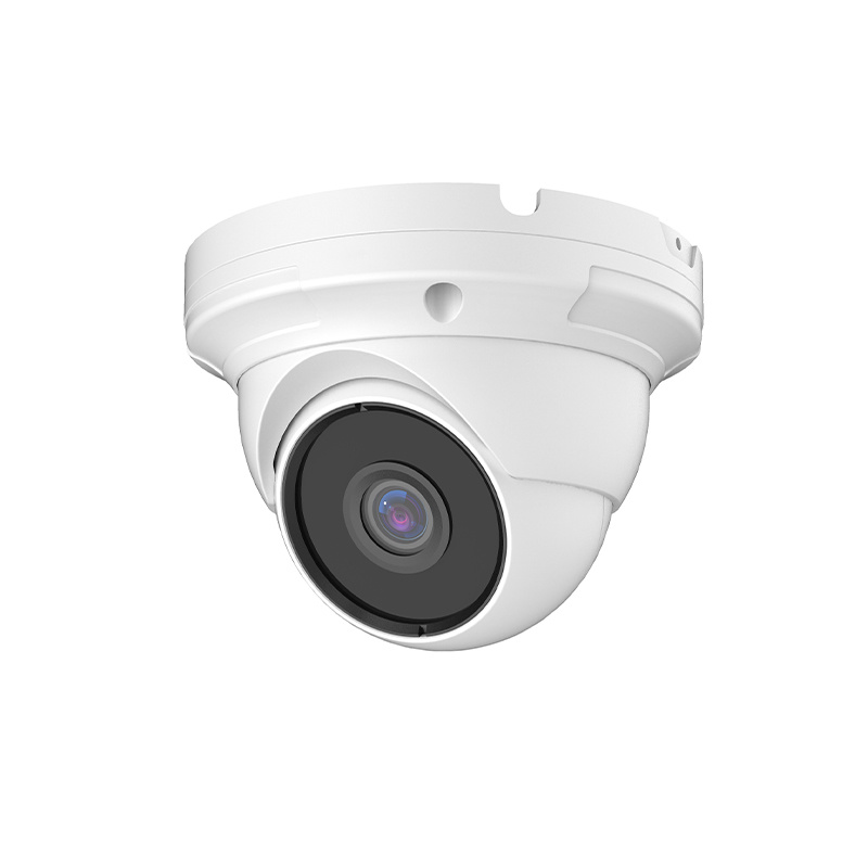 CCTV  medium  eyeball dome camera housing 