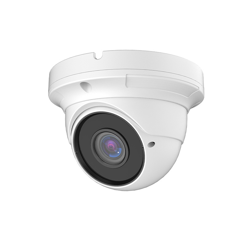 Large ceiling mount varifocal dome camera housing 