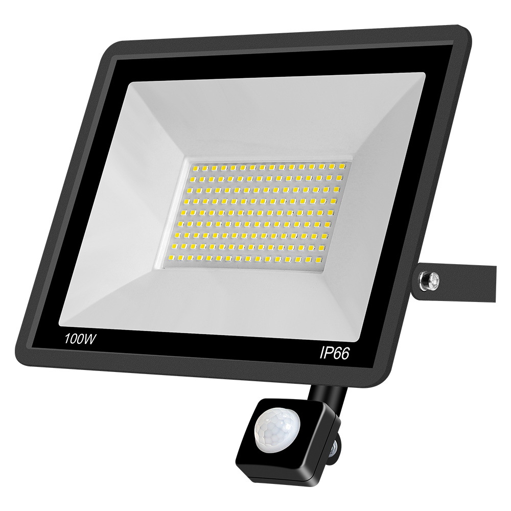 100W  weatherproof cool white light PIR LED floodlight 