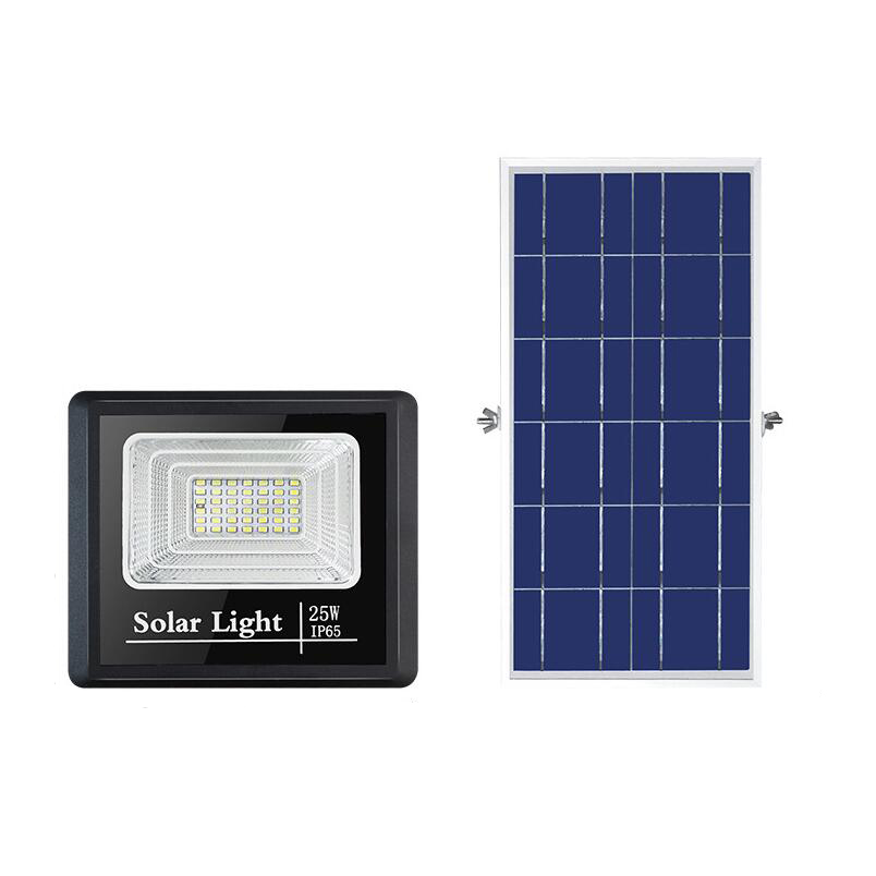 25W  weatherproof  solar LED light  with remote controller